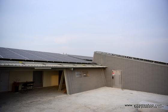 太陽能發電設施結合養殖科技,台鹽綠能北門AI智慧養殖漁電共生示範場